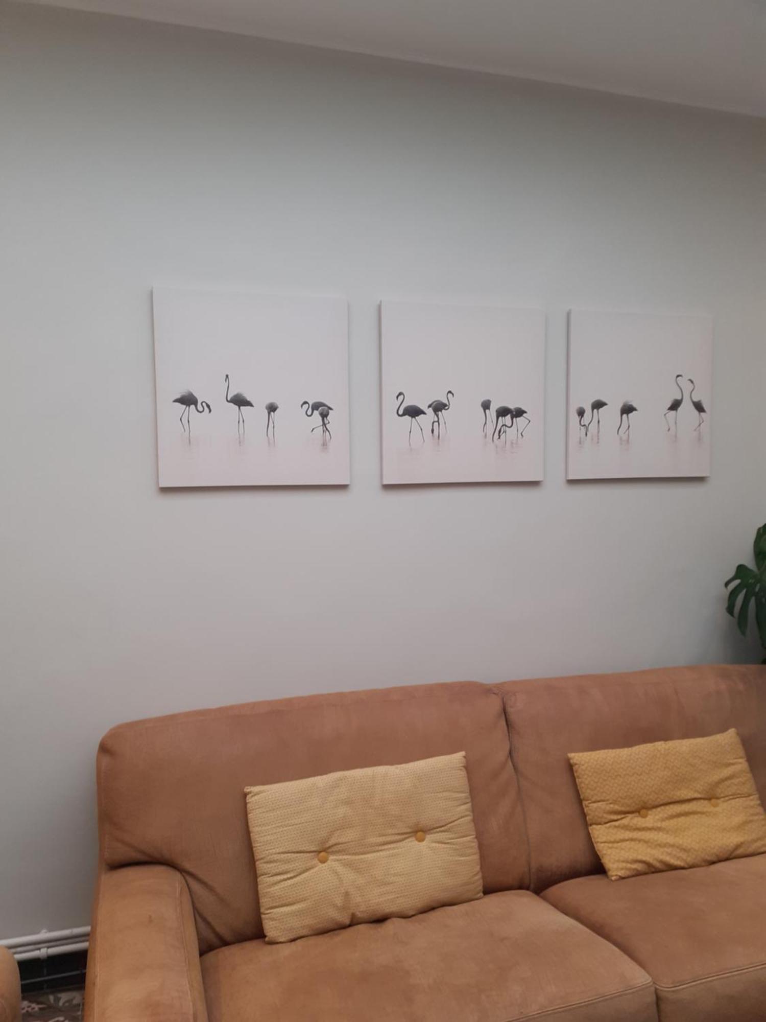 Willa La Colombe 43 Steenvoorde Zewnętrze zdjęcie